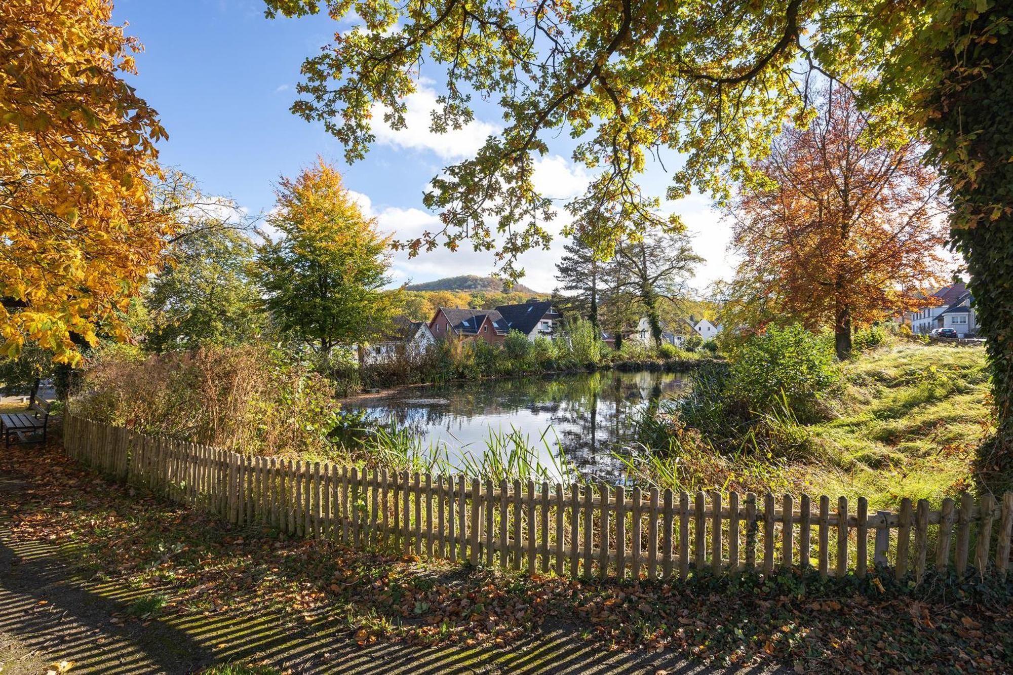 Gaestehaus Am Muehlenteich Schieder-Schwalenberg Esterno foto